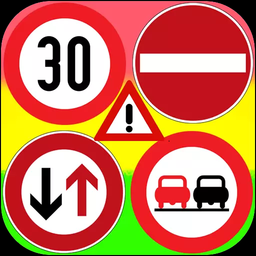 Driving regulations testing program