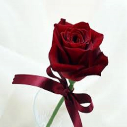 آیین خوشبختی