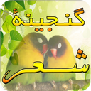 کمیابترین گنجینه شعر