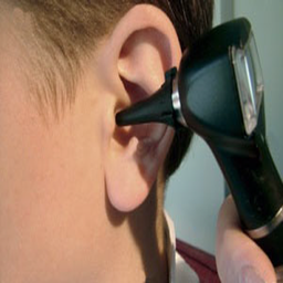ear