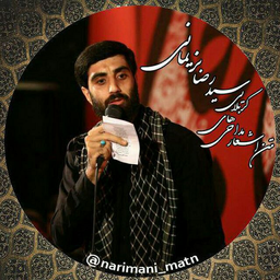 اشعار دهه اول محرم سید رضا نریمانی