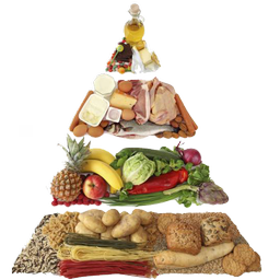 موادمغذی موردنیازبدن