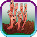 worm compost fertilizer
