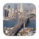 Live Bridge