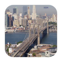 Live Bridge