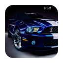 Live Ford beautiful