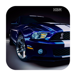 Live Ford beautiful
