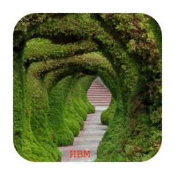 Live nature wonders