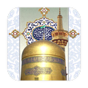 live emam reza