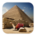 زنده مصر