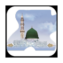 تصاویر زنده مدینه