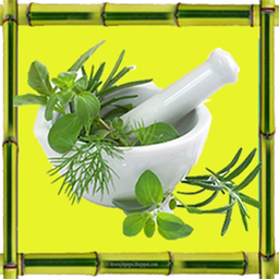 عرقیات گیاهی