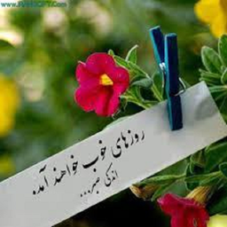 آرامش در زندگی