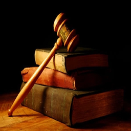 Lawyer(Law Book)