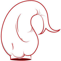 آشپزی با سرآشپز نیکا