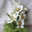 flowering
