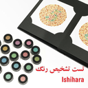 Ishihara Test (color blind test)