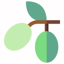 زیتون- لاغری در یک ماه