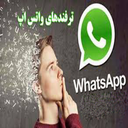 همه چیز از واتساپ