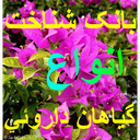 بانک شناخت انواع گياهان داروئي