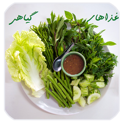 غذاهای گیاهی