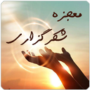 معجزه شکرگزاری