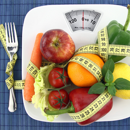 The fat burning foods-limited