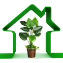 گیاهان تصفیه کننده هوای منزل