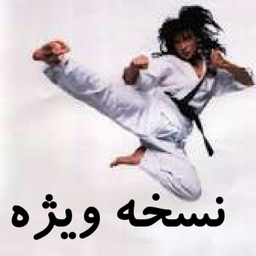 معرفی رشته های رزمی