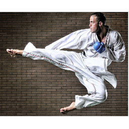 دانستنی های کاراته