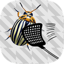 بازی حشره کشی