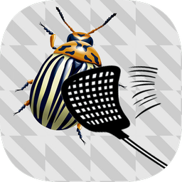 Insect smasher games for kids free