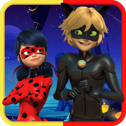 Ladybug Cat noir