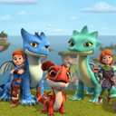 Dragons Rescue Riders