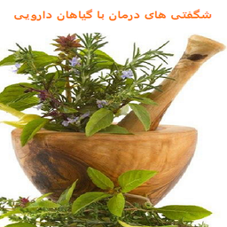 Wonders Herbal Treatments