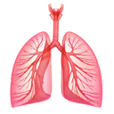 respiratory diseases