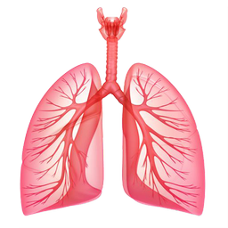 بیماری های تنفسی
