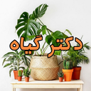 دکتر گیاه|آموزش نگهداری گیاهان