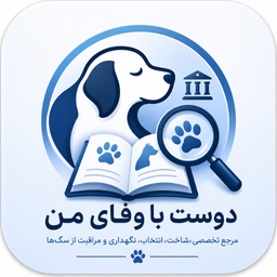 دوست باوفای من | آموزش و نگهداری سگ