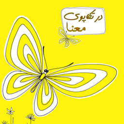 در تکاپوی معنا