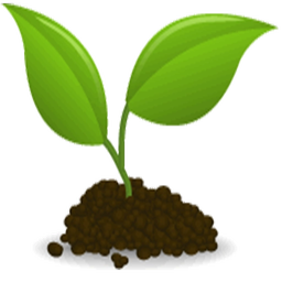 گیاهان تصفیه کننده هوا