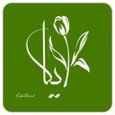 ایکا