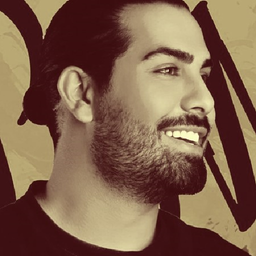 majid razavi