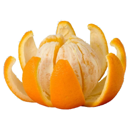 خواص پرتقال