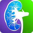 GFR Calculator