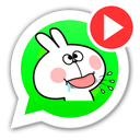 استیکر متحرک خرگوش واتساپ🐰