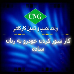 گازسوز کردن استاندارد خودرو