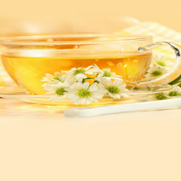 دمنوش های گیاهی