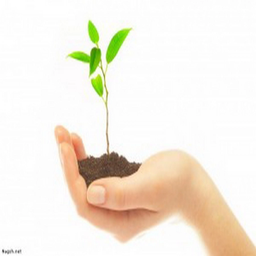 دنیای گیاهان دارویی