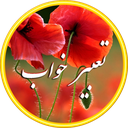 تعبیرخواب شقایق